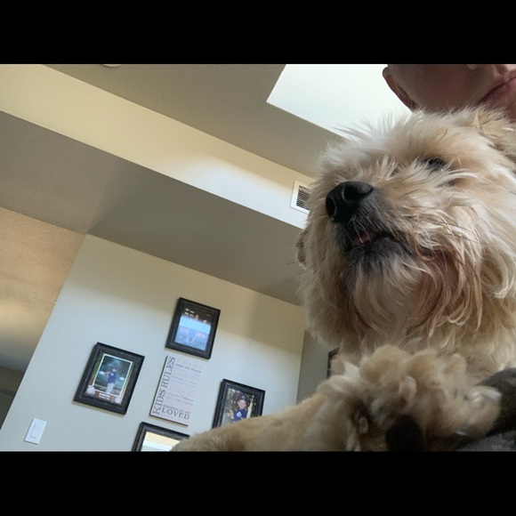 Meet your Posher, Kylie - Picture 6 of 10